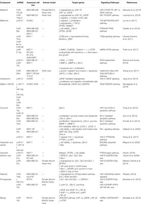 MicroRNAs: Important Players in Breast Cancer Angiogenesis and Therapeutic Targets